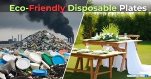 Eco-Friendly Disposable Plates: Your Guide to Sustainable Tableware