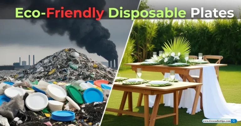 Eco-Friendly Disposable Plates