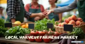 Local Harvest Farmers Market: Your Guide to Fresh, Local Food