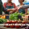 Local Harvest Farmers Market