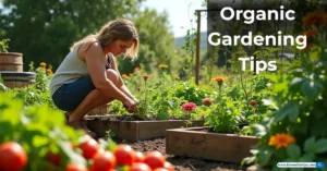Organic Gardening Tips: A Simple Guide to Growing a Natural Garden