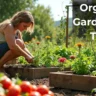 Organic Gardening Tips