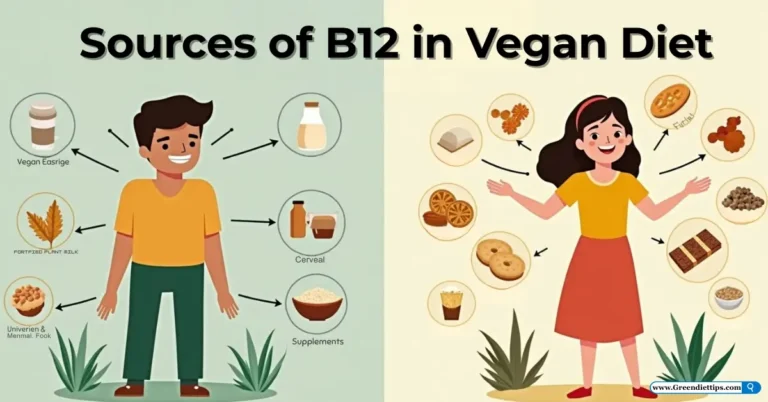 Sources of B12 in Vegan Diet