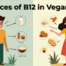 Sources of B12 in Vegan Diet