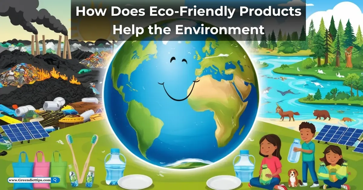 How Does Eco-Friendly Products Help the Environment